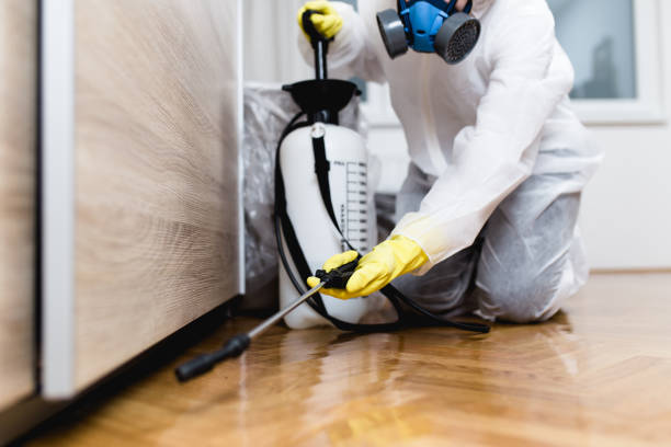 Best Ant Control Services  in Audubon Park, NJ