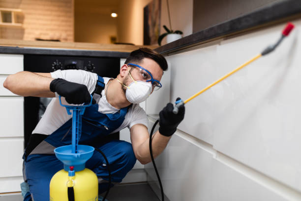 Best Residential Pest Control  in Audubon Park, NJ