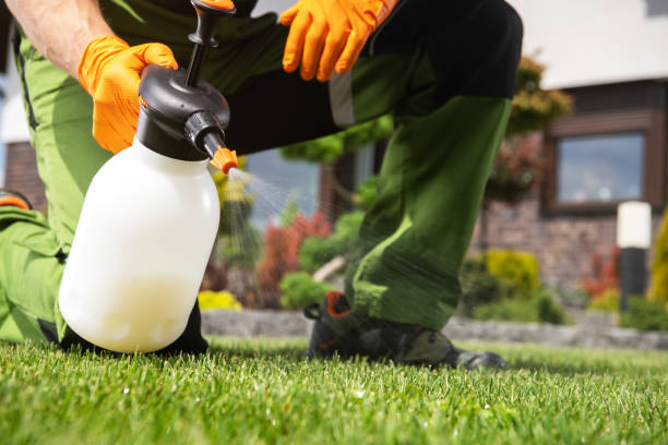 Best Rat Extermination Near Me  in Audubon Park, NJ