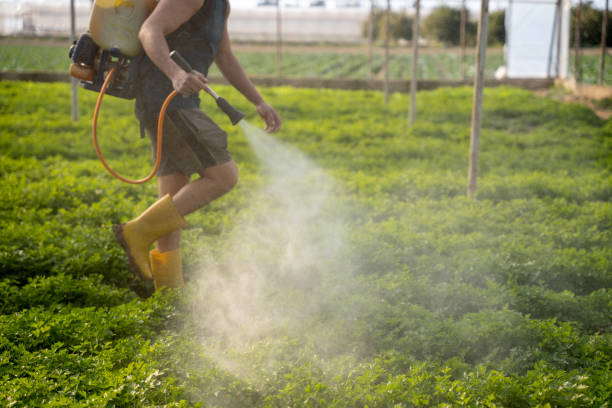 Best Affordable Pest Control Services  in Audubon Park, NJ