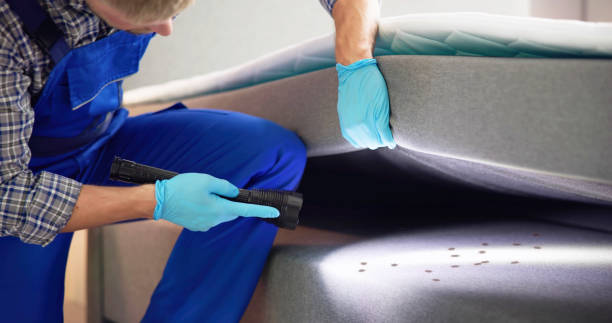 Flea Control Services in Audubon Park, NJ