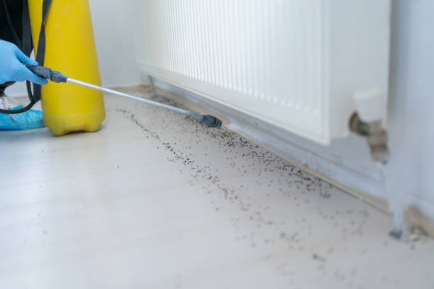 Pest Control Cost in Audubon Park, NJ