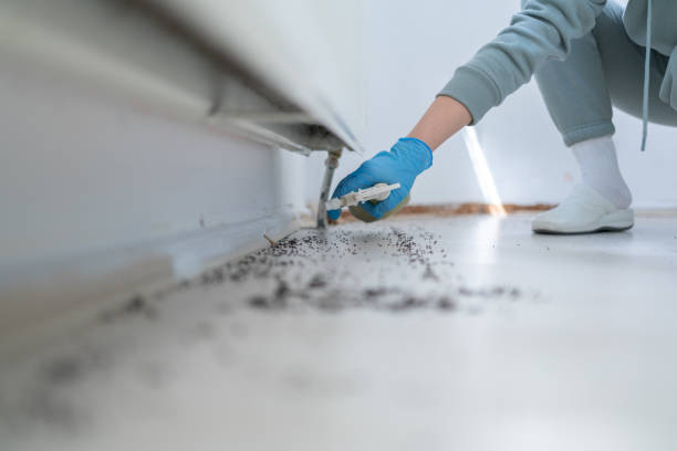 Professional Pest Control in Audubon Park, NJ